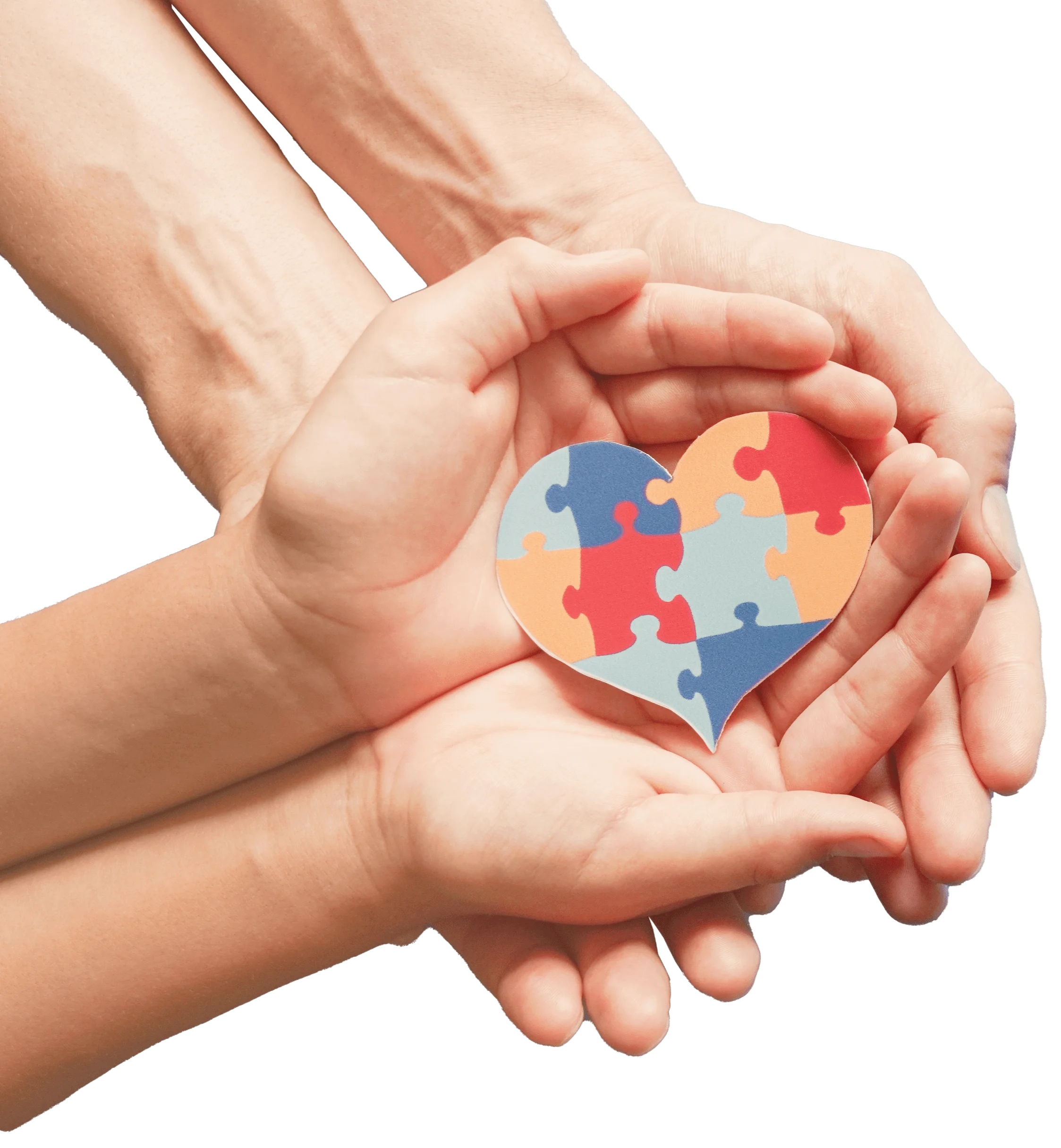 Medical diagnostic services through multidisciplinary teams MDT